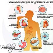 Causes and mechanisms of rapid alcohol intoxication