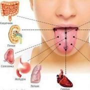 Liežuvis padengtas balta danga: simptomai, priežastys ir gydymas