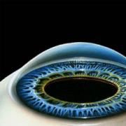 Wie schnell heilt das Auge nach einer Laser-Sehkorrekturoperation?